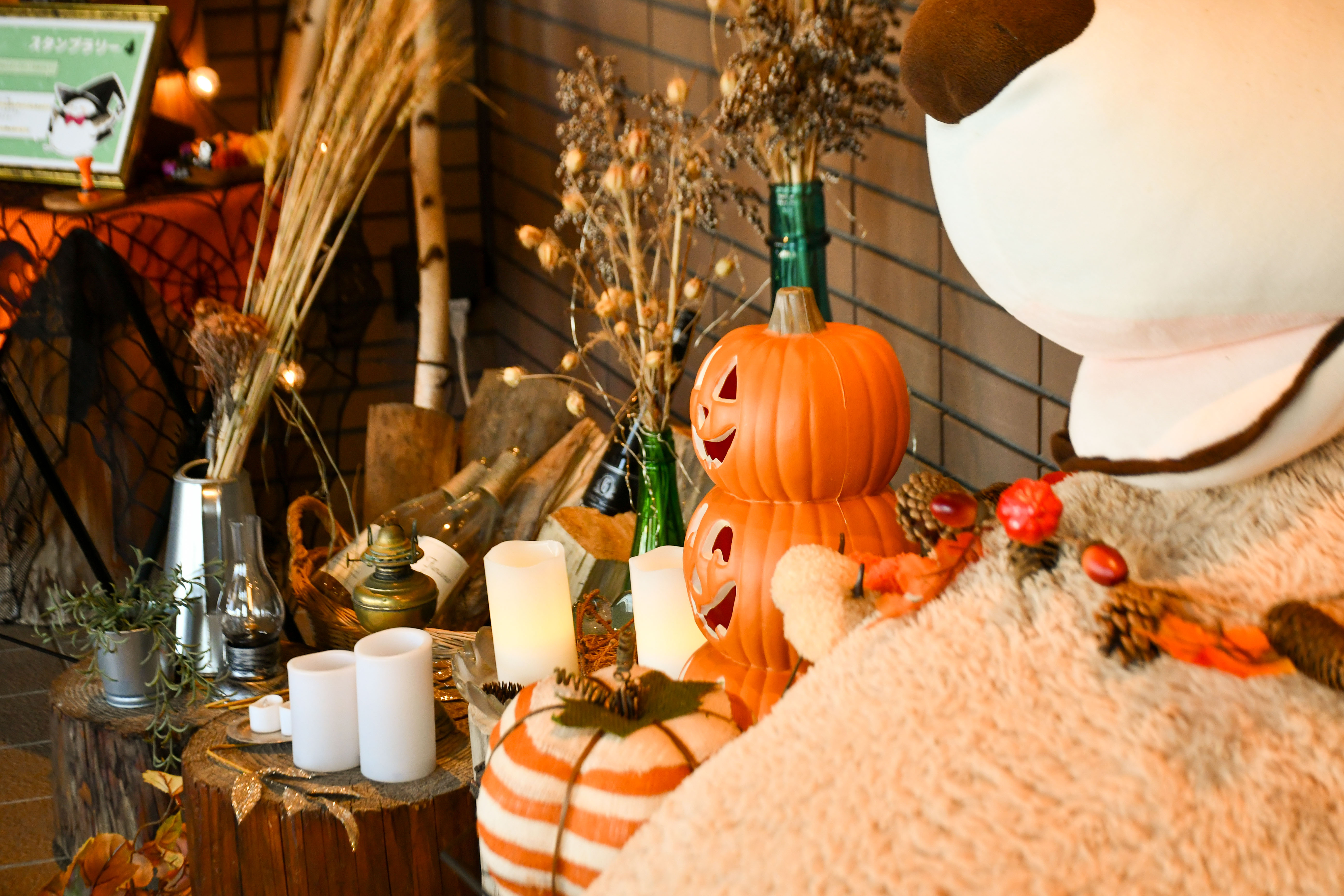 館内で楽しむハロウィンフォトスポット