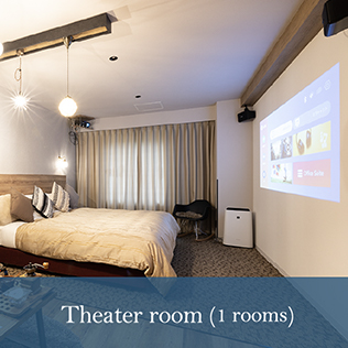 Theater room