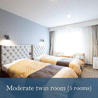 Moderate twin room