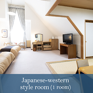 Japanese-Western style room